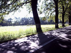 RTF Spandau Jens 76